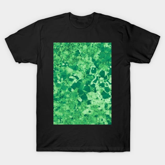 Emerald T-Shirt by LaurenPatrick